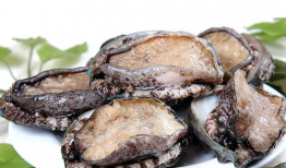 带你吃瓜迷你鲍鱼,带你探索带你吃瓜的味蕾盛宴