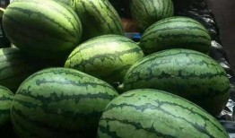 吃瓜网a,带你走进网络八卦的奇幻世界