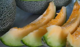 带你吃瓜迷你鲍鱼,带你探索带你吃瓜的味蕾盛宴