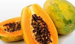 孕妇梦见炒瓜吃,炒瓜吃背后的寓意与启示