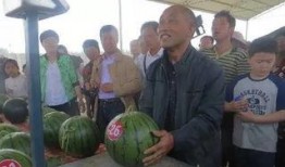 莒县吃瓜群众,吃瓜群众的欢乐盛宴