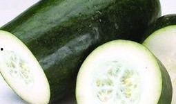 皮瓜怎幺吃,皮瓜的多样食用方法探索