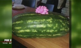 伏黑吃瓜,揭秘娱乐圈背后的秘密与真相