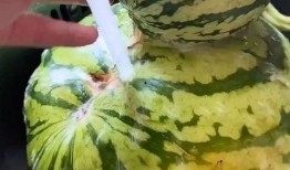 热门搞笑吃瓜视频,笑到肚子疼！