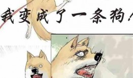 吃瓜人小说集,窥探人性百态，品味世间百味