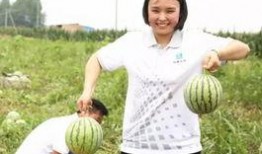 吃瓜解忧社,揭秘娱乐圈幕后故事，带你轻松解压