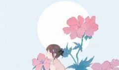 期待吃瓜小说,揭开网络小说背后的神秘面纱