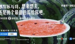 外卖吃瓜文案,揭秘美食背后的故事