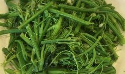 佛手瓜种苗吃用,食药两用，养生佳品