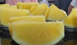 吃瓜区域,探寻美食与文化的交汇之地