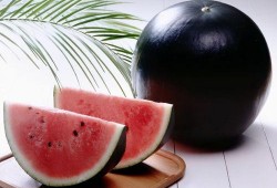 皮瓜怎幺吃,皮瓜的多样食用方法探索