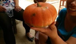 一二布布吃瓜,揭秘娱乐圈幕后故事