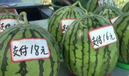 禹城吃瓜新闻,揭秘当地热门事件背后的真相与争议