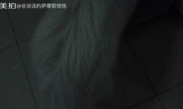 搞笑歌曲吃瓜视频,笑料横生！吃瓜视频带你领略搞笑歌曲的魅力