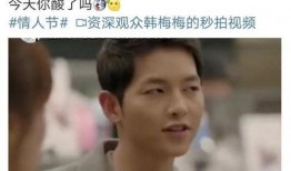 作者天天吃瓜,天天吃瓜，揭秘明星幕后故事