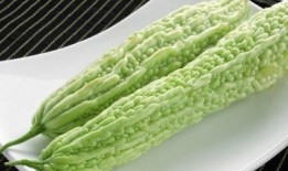 家庭吃瓜系统,解锁欢乐时光的秘籍