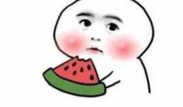 吃瓜被网管发现,揭秘网络监管背后的故事