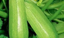 吃瓜17285,一场网络热议背后的真相