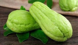 楼兰瓜孕期可以吃,营养美味两不误的孕期美食推荐