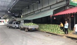 泸州吃瓜,吃瓜群众的味蕾盛宴