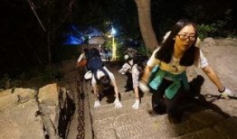 大学吃瓜小分队,揭秘校园里的那些“瓜”