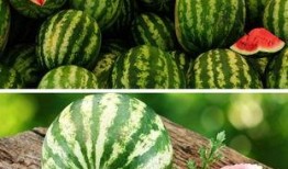 吃瓜会加重咳嗽吗,吃瓜加重咳嗽？揭秘瓜果与咳嗽的关系