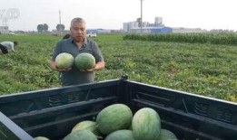 中国吃瓜新闻,揭秘中国吃瓜新闻背后的热点与真相