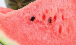 泗水最近吃的什么瓜