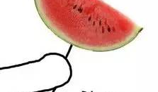 吃瓜配图图片,图解美食瞬间