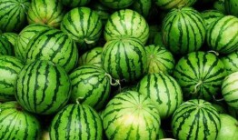 小廖总吃瓜,揭秘娱乐圈幕后故事