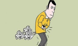 吃瓜放屁视频,网络热梗背后的趣味与思考