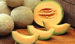 哈密瓜和柑子能一起吃吗,哈密瓜与柑子同食的兼容性探讨
