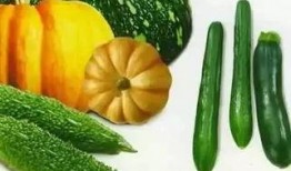 吃瓜黑凤梨,网络热词背后的文化现象