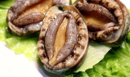 带你吃瓜迷你鲍鱼,带你探索带你吃瓜的味蕾盛宴