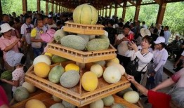 798吃哈密的瓜,哈密瓜美食之旅