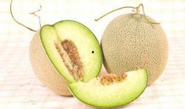 哈密瓜和柑子能一起吃吗,哈密瓜与柑子同食的兼容性探讨