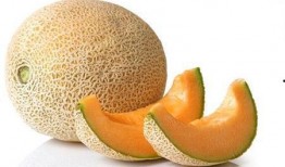 哈密瓜和柑子能一起吃吗,哈密瓜与柑子同食的兼容性探讨