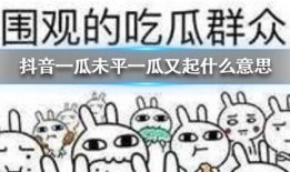 抖音吃瓜看法,揭秘网络舆论背后的真相与反思