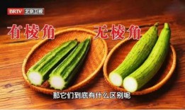 嗑糖吃瓜,揭秘娱乐圈甜蜜恋情背后的嗑糖吃瓜故事
