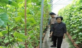 吃瓜用哪个网站