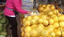 宁夏各个学校吃瓜