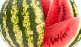 小廖总吃瓜,揭秘娱乐圈幕后故事