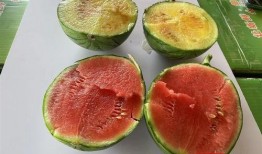 武汉群众吃瓜视频,全民围观，欢乐共享