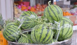 吃瓜群众乐开花,揭秘网络热议背后的欢乐与思考