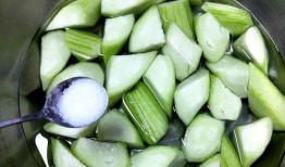 小圆瓜可以炒着吃吗,炒菜新选择