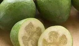 奎瓜可以吃吗,探究其可食用性之谜