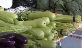 家庭吃瓜系统,解锁欢乐时光的秘籍