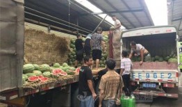 泸州吃瓜,吃瓜群众的味蕾盛宴