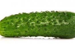 51吃瓜 每日吃瓜,揭秘娱乐圈最新热点，每日新鲜瓜果等你来尝