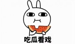 吃瓜手账文案短句,吃瓜手账里的趣味人生